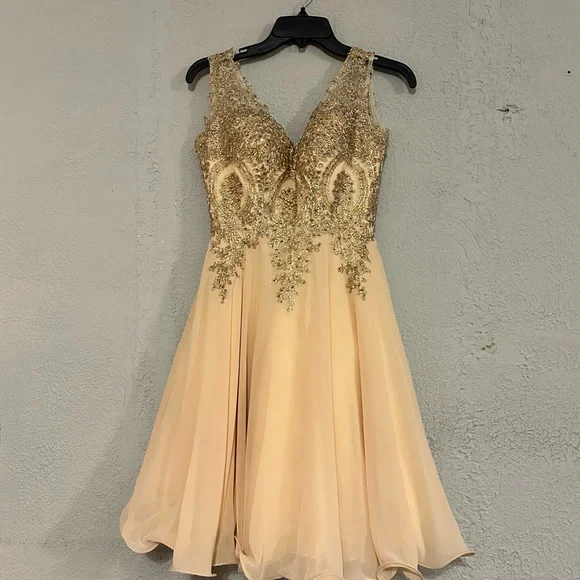 knee length dresses for ladies The Audrey Embroidered Chiffon Dress Blush main image 1